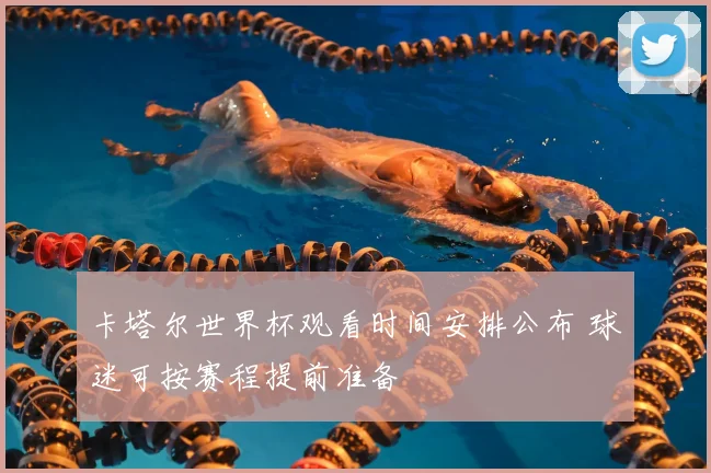 卡塔尔世界杯观看时间安排公布 球迷可按赛程提前准备