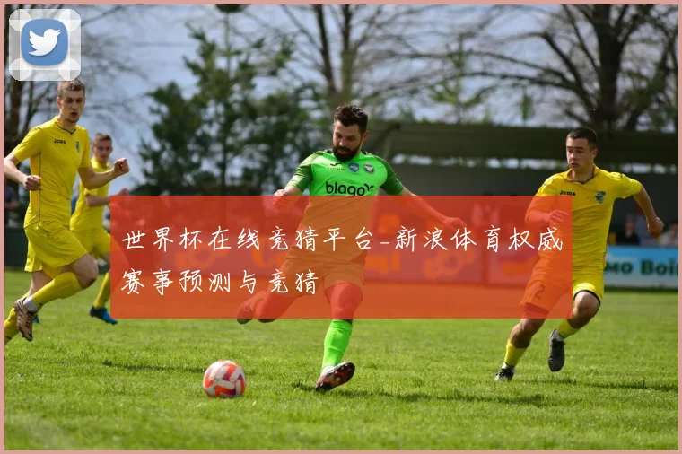世界杯在线竞猜平台_新浪体育权威赛事预测与竞猜