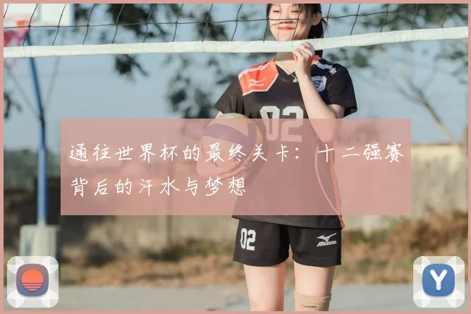 通往世界杯的最终关卡：十二强赛背后的汗水与梦想
