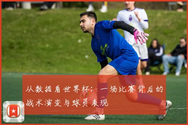 从数据看世界杯:一场比赛背后的战术演变与球员表现