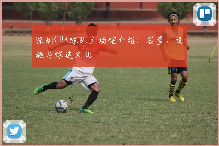 深圳CBA球队主场馆介绍：容量、设施与球迷文化
