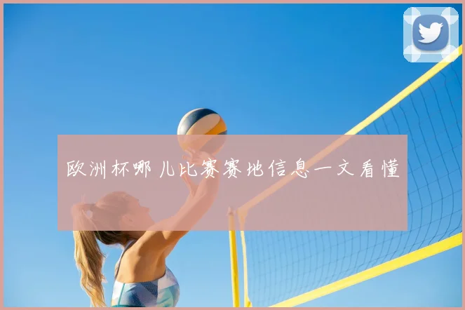 欧洲杯哪儿比赛赛地信息一文看懂