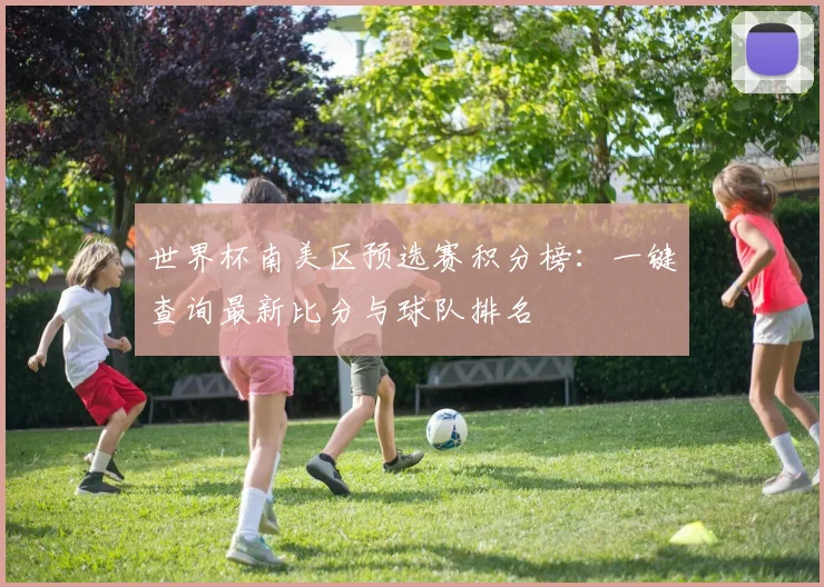 世界杯南美区预选赛积分榜：一键查询最新比分与球队排名