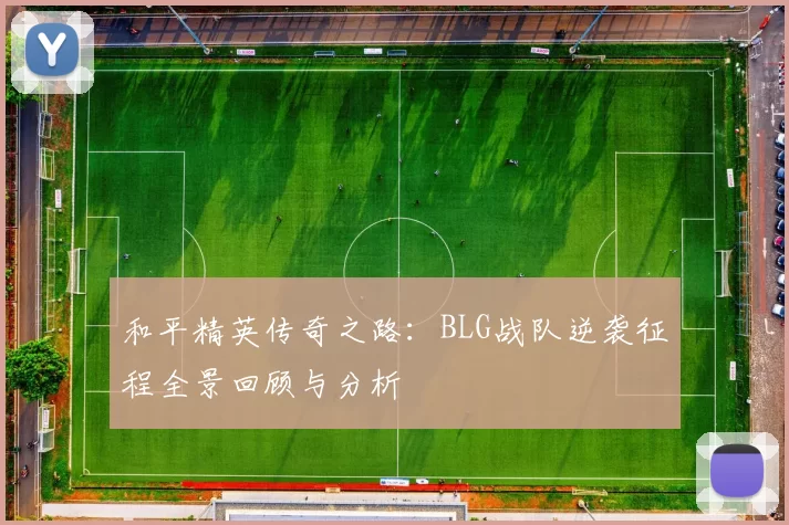 和平精英传奇之路：BLG战队逆袭征程全景回顾与分析