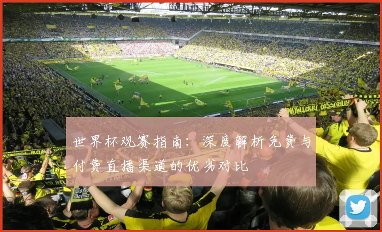 世界杯观赛指南：深度解析免费与付费直播渠道的优劣对比