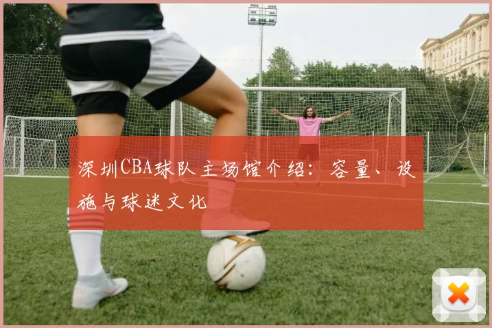 深圳CBA球队主场馆介绍：容量、设施与球迷文化