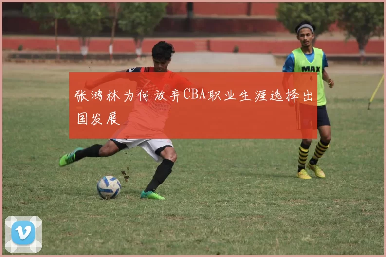 张鸿林为何放弃CBA职业生涯选择出国发展