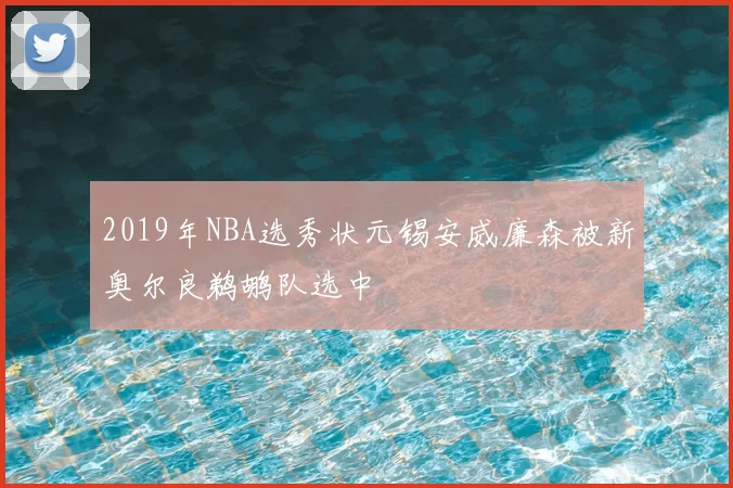 2019年NBA选秀状元锡安威廉森被新奥尔良鹈鹕队选中
