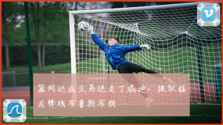 篮网达成交易送走丁威迪，换取猛龙锋线布鲁斯布朗