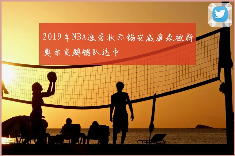 2019年NBA选秀状元锡安威廉森被新奥尔良鹈鹕队选中