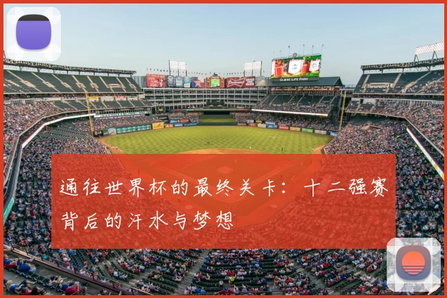 通往世界杯的最终关卡：十二强赛背后的汗水与梦想