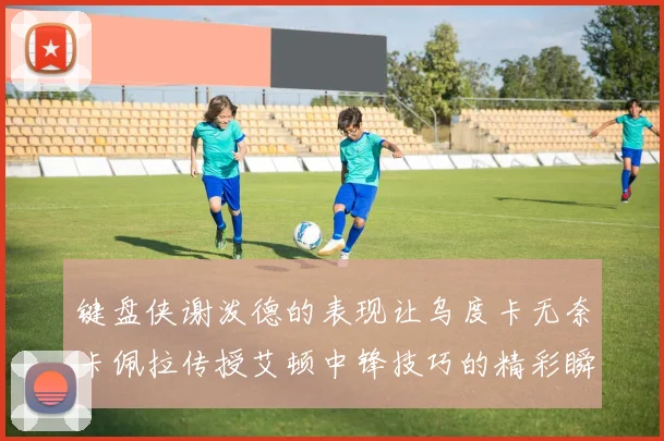 键盘侠谢泼德的表现让乌度卡无奈卡佩拉传授艾顿中锋技巧的精彩瞬间