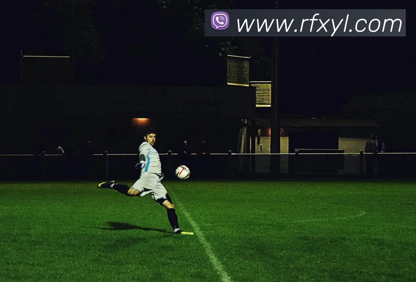 华体会体育平台生态图